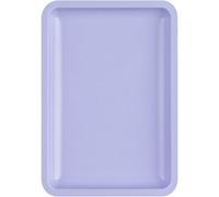 Bandeja multiusos de acero inoxidable para el cuidado de uñas y cepillos, elegante bandeja de almacenamiento para uñas postizas, utensilios de cocina, placa de almacenamiento de manicura