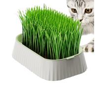 Bandeja para Hierba Gatera - Bandeja De Cultivo Orgánico para Gatos - Caja de Cultivo Sin Suelo Doble Capa, Herramienta para Germinar Pasto de Trigo para Dueños Ocupados
