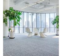 Bandeja para plantas de interior, paquete de 2 con base gruesa para una mayor durabilidad y protección contra fugas de agua y derrames de tierra (6 pulgadas)