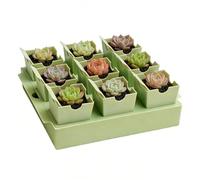 Bandejas de Inicio de Semillas | Macetas pequeñas reutilizables de 9 celdas | Bandejas de siembra de interior para plántulas | para trasplante de flores y verduras en interior, exterior, invernadero,