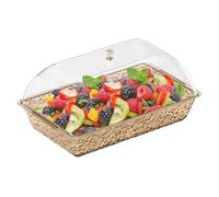 Bandejas De Servicio Para | Vajilla De Buffet | Bandeja De 41,5 X 25,0 Cm Con Compartimentos Y Tapa | Para Snack, , Restaurante, Cocina