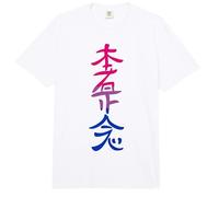 Bandera Bisexual Hon Sha Ze SHO NEN Reiki Símbolo Yoga Comfort Colors Adult Heavyweight T-Shirt