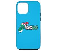 Bandera de ADN vintage burundiana de Plummer Carcasa para iPhone 12 mini
