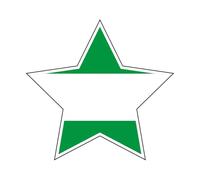 Bandera de ANDALUCÍA PARCHE BORDADO CON VELCRO O ADHESIVO, para todo tipo de prendas y artículos textiles, fácil de planchar y colocar, fabricado en España (TERMOADHESIVO, ESTRELLA, PACK 1)