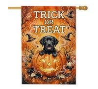 Bandera de casa de calabazas, sombrero festivo de bruja para perro, Halloween, naranja, arpillera de doble cara, banderas decorativas para porche exterior, patio, césped, entrada, balcón, 28 x 40