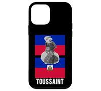 Bandera de Haití de Toussaint L'Ouverture - Revolución Haitiana de 1804 Carcasa para iPhone 12 Mini