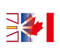 Bandera de Newfoundland and Labrador - 90 x 150 cm 3 x 5 pies Bandera de poliéster