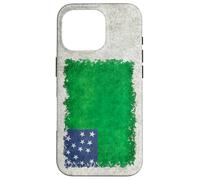 Bandera de Vermont Republic Green Mountain Boys en Estilo Grungy Carcasa para iPhone 16 Pro