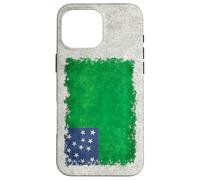 Bandera de Vermont Republic Green Mountain Boys en Estilo Grungy Carcasa para iPhone 16 Pro MAX