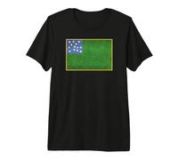 Bandera de Vermont Republic Green Mountain Boys Grungy Camiseta Premium