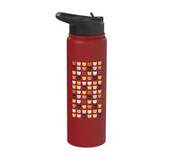 Bandera del orgullo de oso peludo de Daddy & Cubs, orgullo del oso gay Stainless Steel Insulated Water Bottle