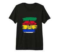 Bandera drusa, Al Muwahhidun, Druzen Estrella símbolo Bandera drusa Camiseta Premium