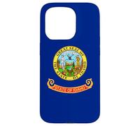 BANDERA ESTATAL IDAHO BOISE TWIN FALLS COEUR D'ALENE MERIDIAN Carcasa para iPhone 15 Pro
