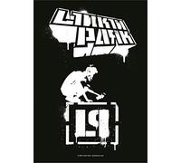 Bandera Meteora de Linkin Park