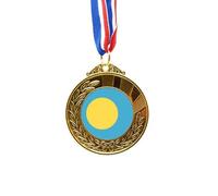 Bandera nacional de Palau Oceanía símbolo del país de oro ganador del premio ganador del primer lugar cinta