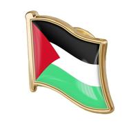 Banderas del mundo Palestina Bandera Mapa Pines Palestino Escudo Nacional Broches Insignias Solapa Accesorios Joyería, Metal