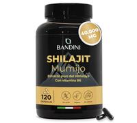 Bandini® Mumijo Shilajit 40.000mg 120 cápsulas | Original puro del Himalaya