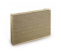 Bang & Olufsen Beosound Level - Altavoz inalámbrico portátil WiFi, Bluetooth, Resistente a Salpicaduras y Polvo, Altavoz para casa y Exterior con hasta 16h de batería, Eco-Responsable - Tono Oro