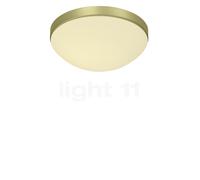 Bankamp Basic, lámpara de techo, latón - ø32 cm
