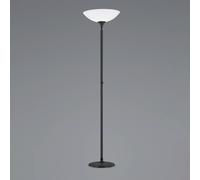 BANKAMP Opera lámpara LED de pie, negro