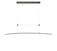 Bankamp Plain, lámpara de suspensión LED, bronce mate - directo