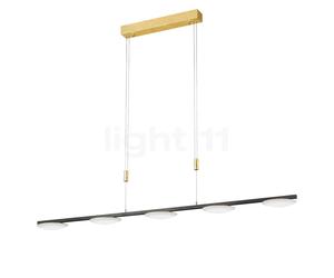 Bankamp Pure Up, lámpara de suspensión LED 5 focos, mirada pan de oro