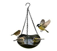 Baño vintage para pájaros para exteriores, cuenco decorativo resistente a la intemperie, acabado de bronce antiguo, lavabo poco profundo, diseño de pedestal para jardín, balcón, patio, césped, árbol