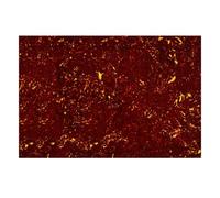 Banworks Golpeador de guitarra en blanco de 4 capas de 43,5 x 29 cm, placa trasera de golpeador de guitarra en blanco, hoja de material para guitarra eléctrica/acústica, bajo JT/HBMP-01, concha de