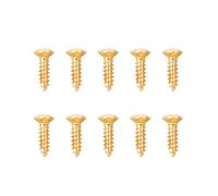 Banworks Juego de 10 clavijas métricas de afinación de guitarra M2.5 de 2,5 x 10 mm, tornillos de montaje de cubierta de varilla de armadura de acero inoxidable con cabeza ovalada para bajo, guitarras