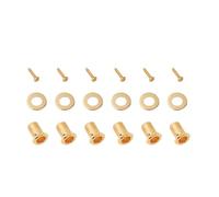 Banworks Juego de clavijas de afinación de guitarra, tornillos y bujes para guitarra, juego de 6 tornillos + 6 bujes + 6 arandelas para bajo, guitarra acústica eléctrica JT/JXQLS-04 dorado