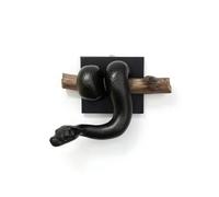 Baoblaze Escultura de Pared Serpiente 3D Decoración de Pared Arte Colgante Adorno Relieve Piezas Talladas con Presencia Llamativa y Toque Sorprendente Adecuada, Negro