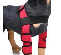 BaoFufc HJ08-M - Rodillera delantera para perro, rodillera, codo, protector antilamidos, heridas, rodillera para perro, recuperación, rodillera para perro, HJ08-M