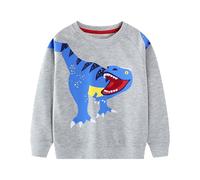 Baogaier Sudadera Niño Algodon Patrón Pullover Camiseta Deporte Sin-Capucha Sweatshirt con Manga Larga Basica Cuello-Redondo Casual Top Jersey para Ninos 5-6 Años, Dinosaurio Gris