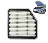 Baoqifong Filtro De Aire Para Coche,Filtro de Gran Capacidad | Recambios Automovilisticos Para Polvo Polen Vehiculo Viaje Largo Mantenimiento Interior