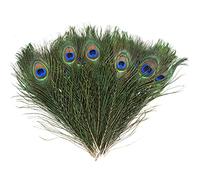 baotongle 15 Uds Natural Plumas de pavo real Hermosas plumas de cola de pavo real Ojos Decoraciones para bricolaje Embellishments Boda Decoración del hogar