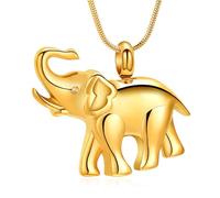 BAOWIQI Collar de urna de elefante, joyería de cremación para cenizas, colgante de urna conmemorativa de acero inoxidable para mujeres y hombres, joyería de ceniza, regalos de duelo con herramienta de