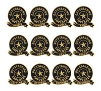 BAOZOON Pin de solapa de reconocimiento de estrella del mes para empleado de 1 a 12 meses, Metal, No es una piedra preciosa