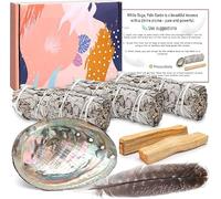 BARAKYEG Paquetes de Salvia Blanca, 3 Ramos de Salvia Blanca + 2 Palo Santo Concha de Halcón - Purificación Elimina Las Energías Negativas Incienso Natural para Quemar Anti Estrés Meditación Madera de