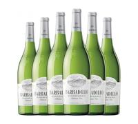 Barbadillo Albariza Blanco Palomino Fino Vino de la Tierra de Cádiz 75 cl Vino blanco (Caja de 6 Botellas de 75 cl)