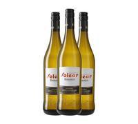 Barbadillo Solear Palomino Fino Manzanilla-Sanlúcar de Barrameda 75 cl Vino generoso (Caja de 3 Botellas de 75 cl)