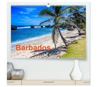 Barbados (hochwertiger Premium Wandkalender 2026 DIN A2 quer), Kunstdruck in Hochglanz: Bilder aus dem Urlaubsparadies Barbados in der Karibik