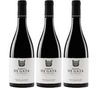 Barbas de Gata Vino Tinto de Crianza, elaborado con Garnacha Tintorera y 14,5% Vol., ideal para servir entre 14º y 16ºC y disfrutar de su carácter intenso| 3 botellas