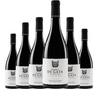 Barbas de Gata Vino Tinto de Crianza, elaborado con Garnacha Tintorera y 14,5% Vol., ideal para servir entre 14º y 16ºC y disfrutar de su carácter intenso| 6 botellas