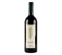 Barbera d'Alba DOC Bruno Rocca Barbera d'Alba 2023