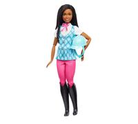 Barbie “Brooklyn” Doll & Accessories from Barbie Mysteries: Th (Importación USA)