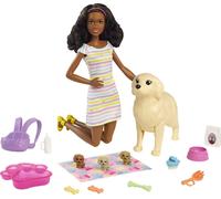 Barbie Doll and Accessories Playset with Brunette Doll, Mommy (Importación USA)