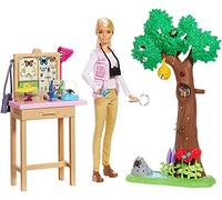 Barbie - Estuche de estudio de mariposas, muñeca y accesorios, juguete para niños, GDM49, multicolor