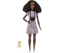 Barbie Tú Puedes Ser Fotógrafa de Mascotas Muñeca Profesiones afroamericana, Juguete para niñas y niños +3 años (Mattel HCN10)