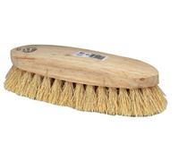 Barbosa - Cepillo ganado erizo raiz