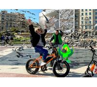 Barcelona: tour de 2 5 horas en bici/e-bici con guía local para ver los 25 atractivos turísticos top